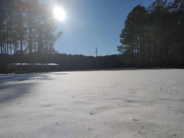 Ross’ Paradise Park Picture 7