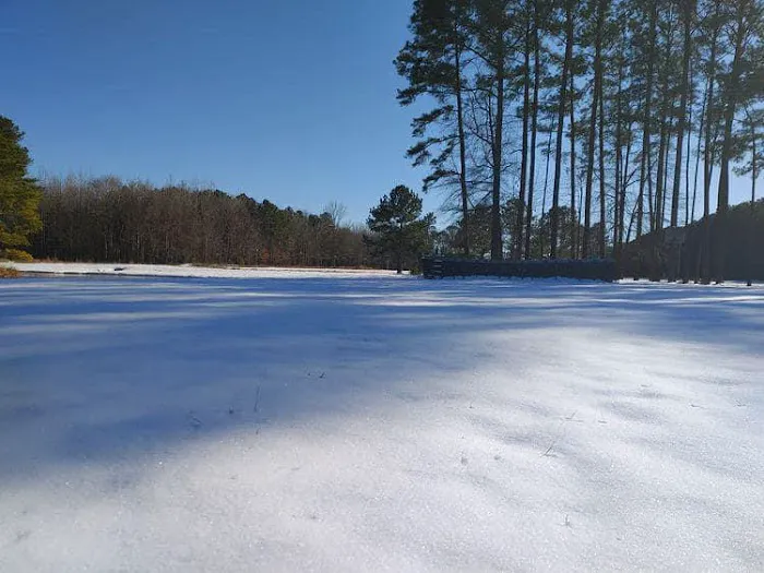 Ross’ Paradise Park Picture 2