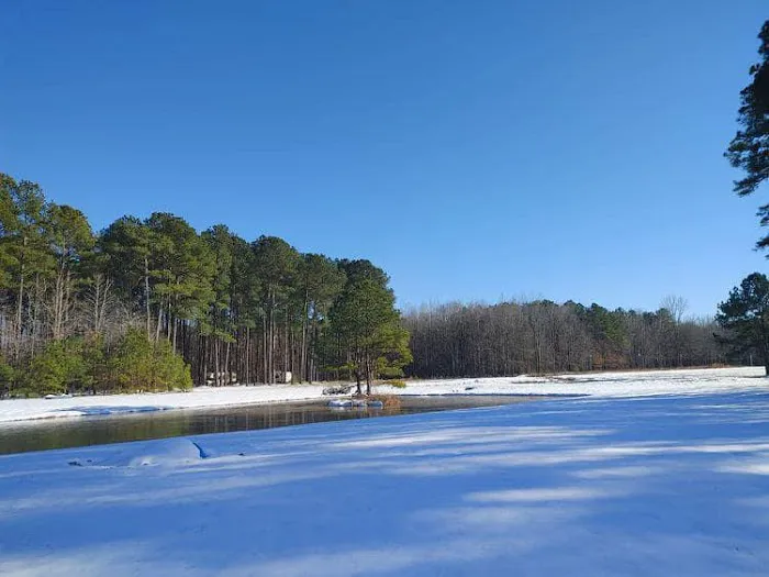 Ross’ Paradise Park Picture 8