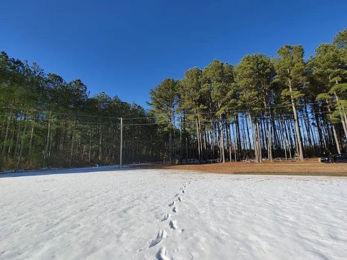 Ross’ Paradise Park Picture 3