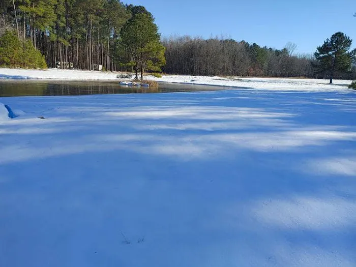 Ross’ Paradise Park Picture 4