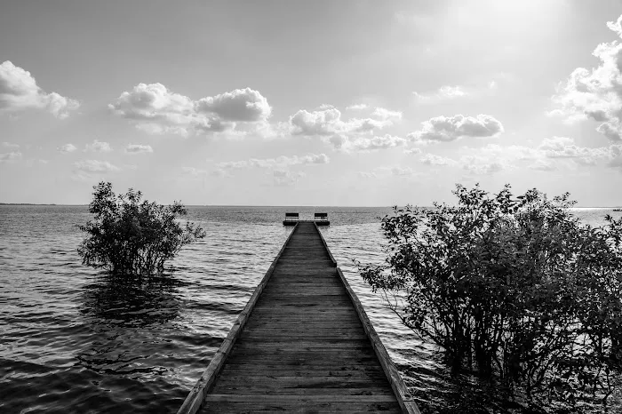 Pettigrew State Park Campground Picture 5