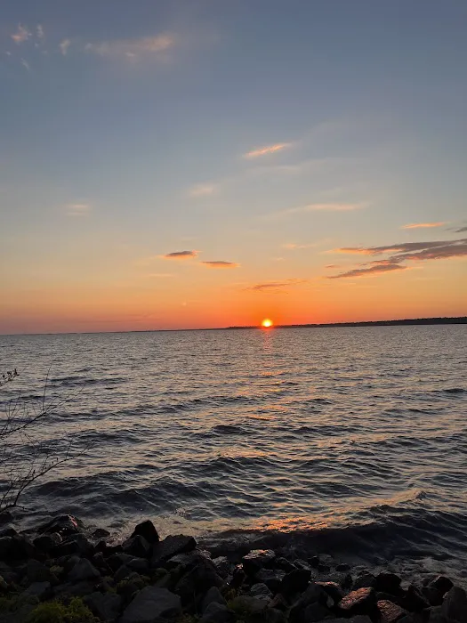 Pettigrew State Park Campground Picture 7