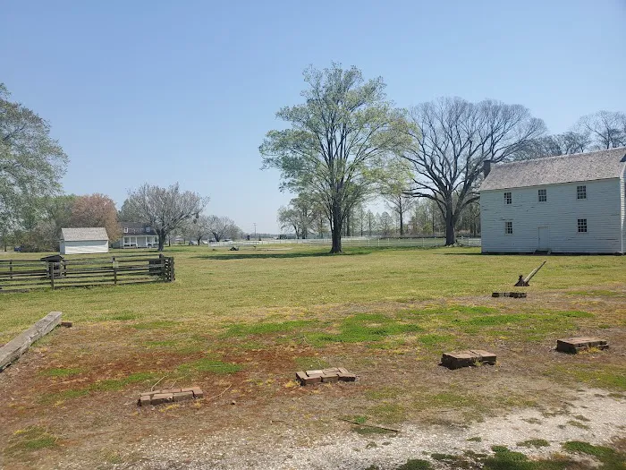 Pettigrew State Park Campground Picture 8