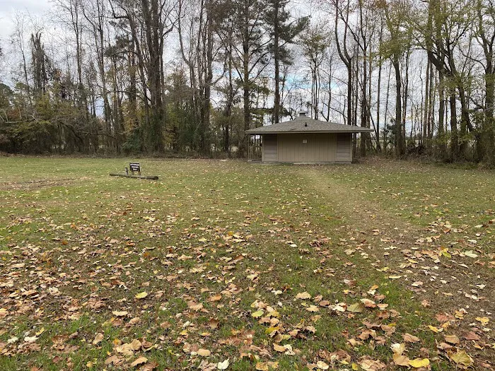 Pettigrew State Park Campground Picture 9