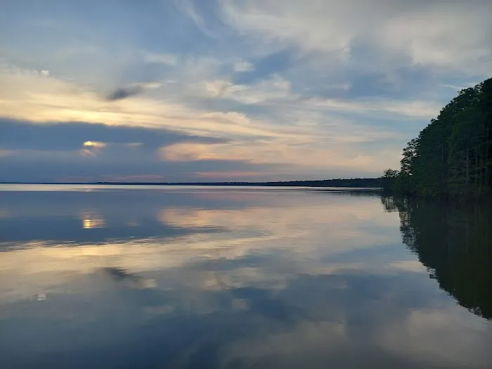 Pettigrew State Park Campground Picture 3