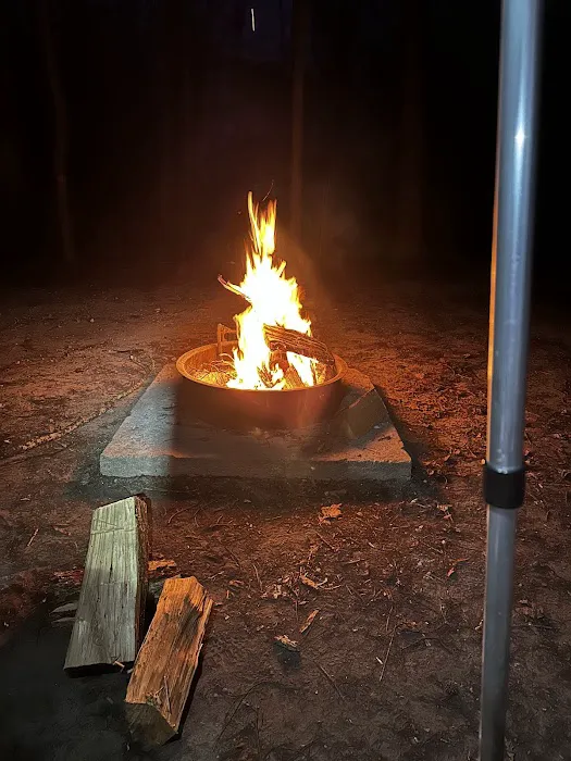 Pettigrew State Park Campground Picture 6