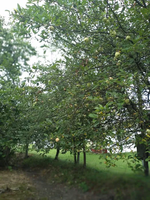 Green Acres Family Campground Picture 2