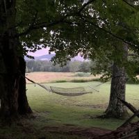 Bushwhacker Cabin ico