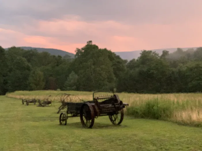 Bushwhacker Cabin Picture 3