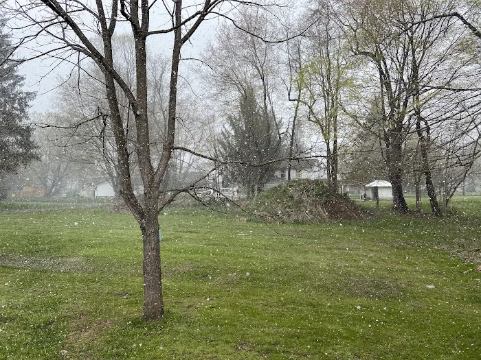 Marlinton Creek and Trail Campground Picture 7