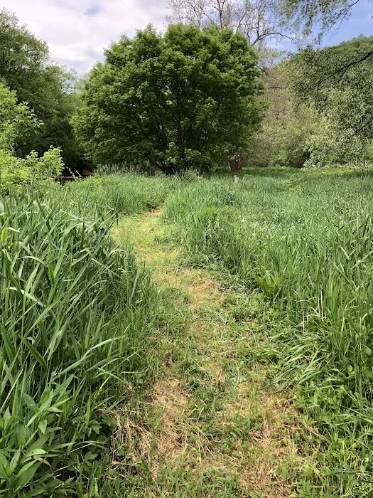 Marlinton Creek and Trail Campground Picture 5