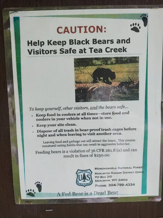 Williams River Road Forest Service Campsite Picture 7