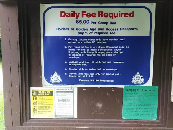 Williams River Road Forest Service Campsite Picture 4