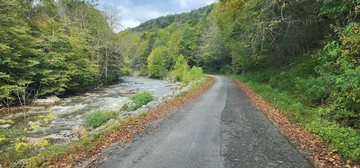 Williams River Road Forest Service Campsite Picture 6