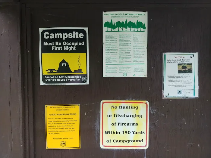 Williams River Road Forest Service Campsite Picture 3