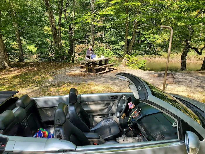 Williams River Road Forest Service Campsite Picture 8