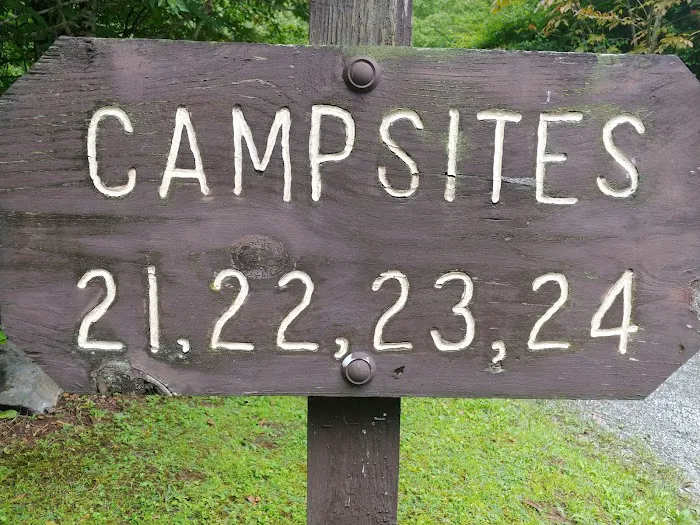 Williams River Road Forest Service Campsite Picture 9