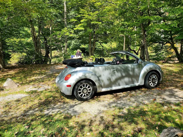 Williams River Road Forest Service Campsite Picture 10