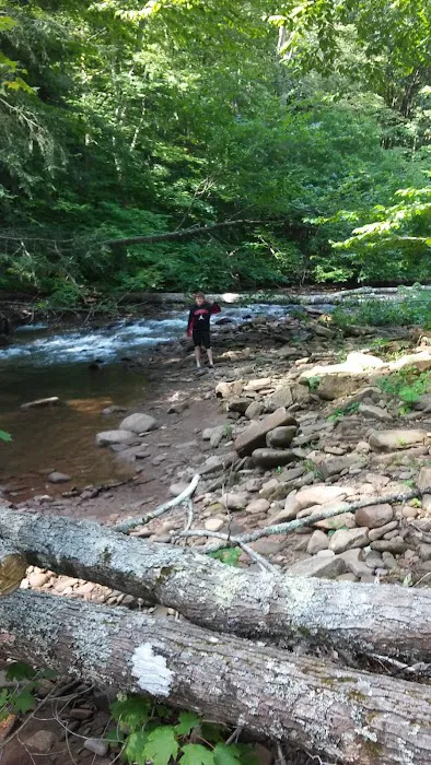 Day Run Campground Picture 10