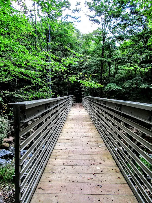 Tea Creek Campground Picture 1