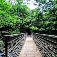 Tea Creek Campground ico