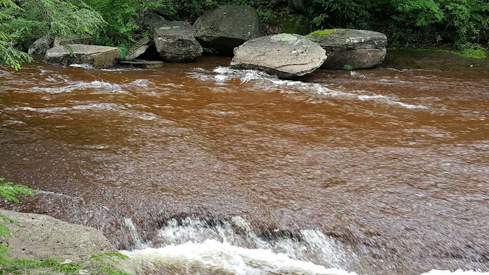 Tea Creek Campground Picture 2