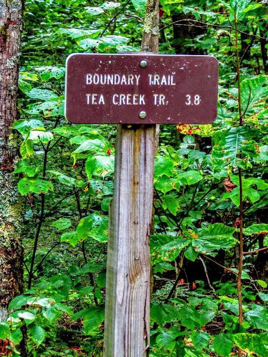 Tea Creek Campground Picture 7