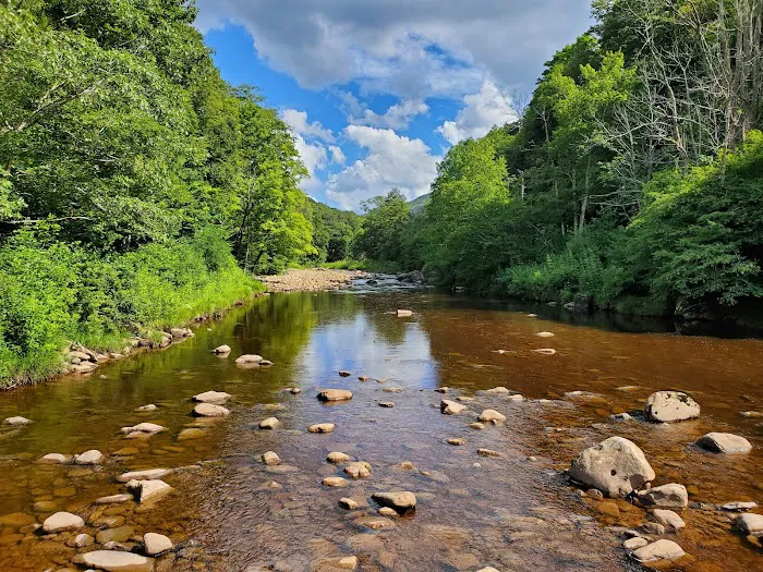 Tea Creek Campground Picture 9