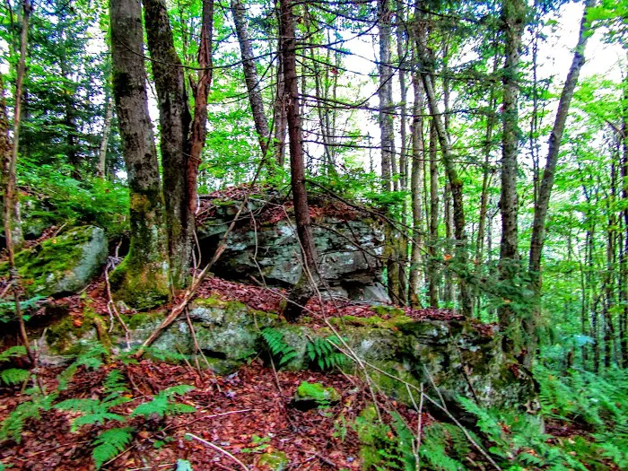 Tea Creek Campground Picture 6