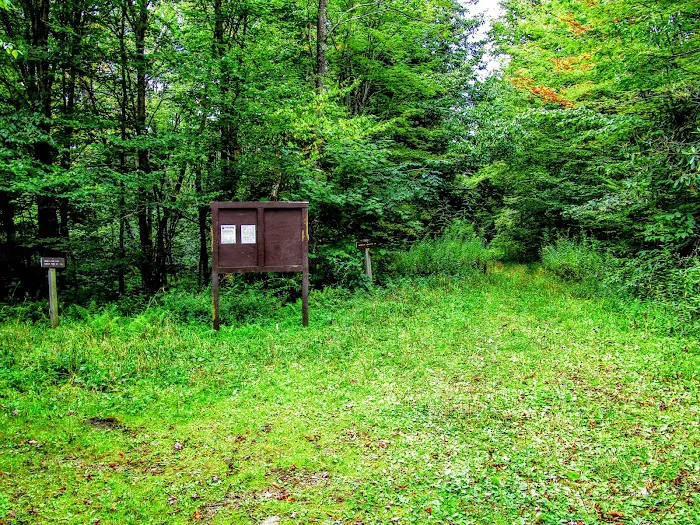 Tea Creek Campground Picture 8