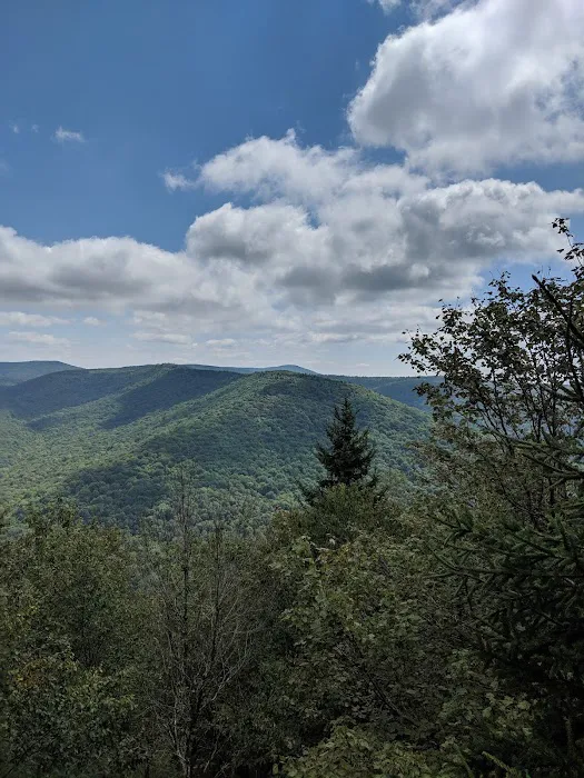 Tea Creek Campground Picture 4