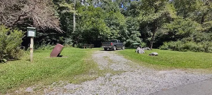 Williams River Campsite 19 Picture 1