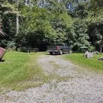 Williams River Campsite 19