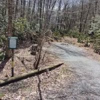 Williams River Campsite 18 ico