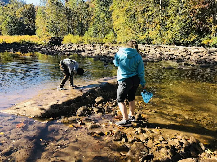 K & N Campground and Cabin Rental Picture 3
