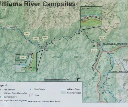 Williams River Campsite 17