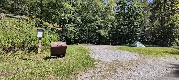 Williams River Campsite 17 Picture 2