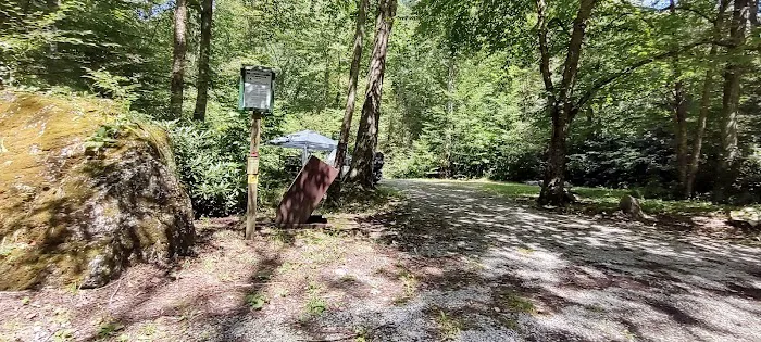 Williams River Campsite 16 Picture 2