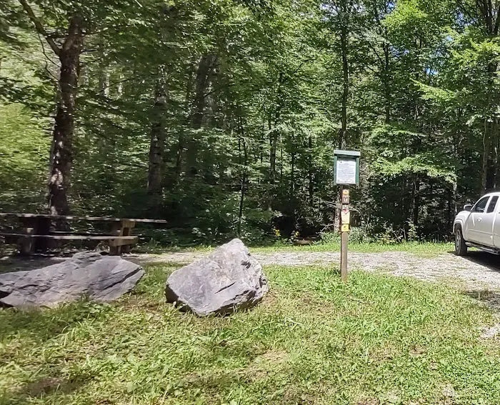 Williams River Campsite 14 Picture 2