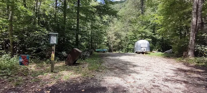 Williams River Campsite 13 Picture 1