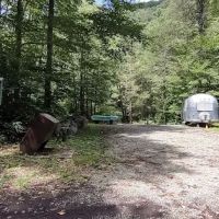 Williams River Campsite 13 ico