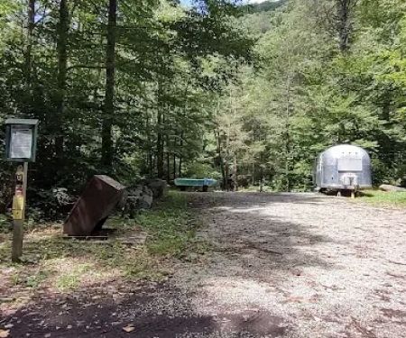 Williams River Campsite 13