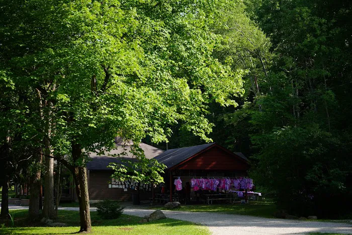 Old James Gibbons Picture 3