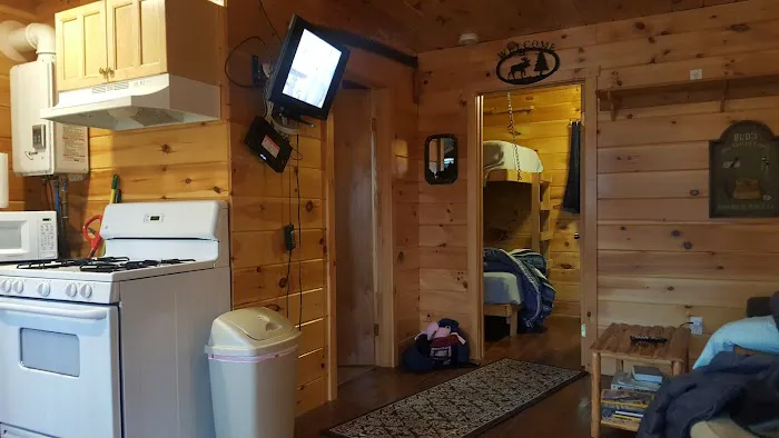Point Passadumkeag River Cabins Picture 5