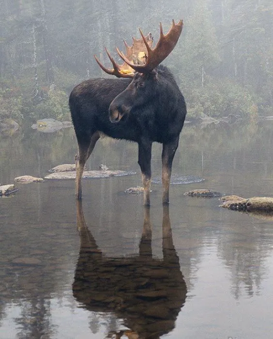 Wilderness Edge Campground Picture 8