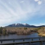 Abol Pines State Campsite