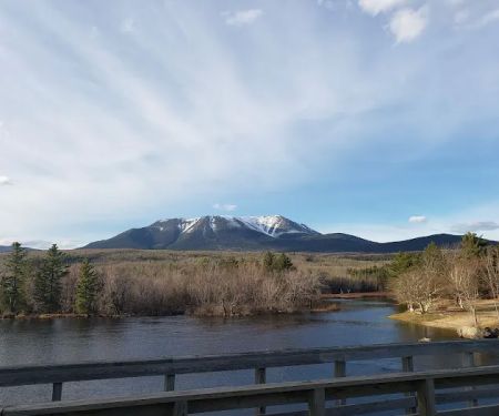 Abol Pines State Campsite