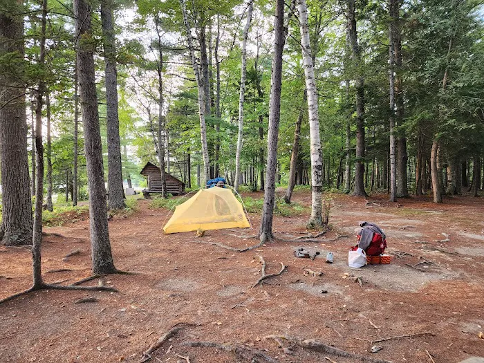 Abol Pines State Campsite Picture 4