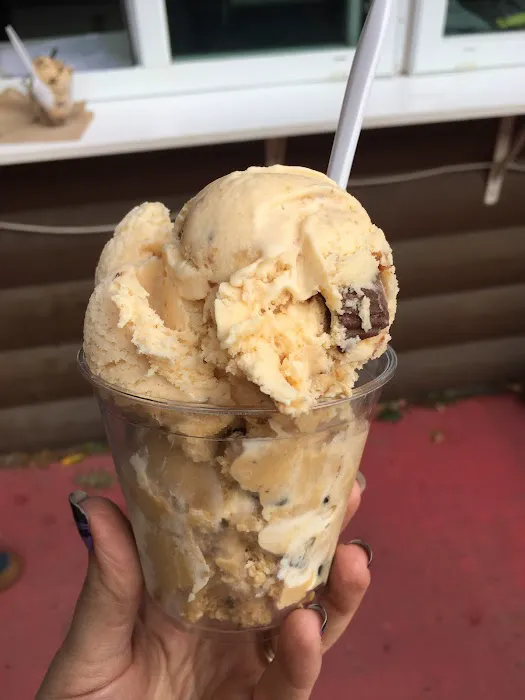 Abol Bridge Campground & Store Picture 6